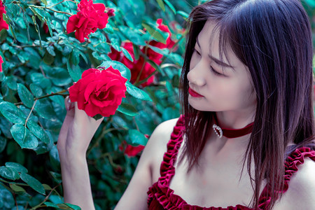 烽火林州启新篇：从抗日根据地到产业新城